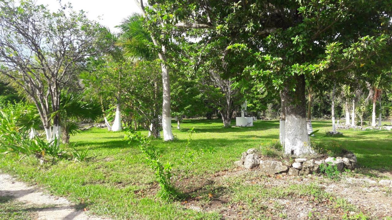Aldea Isla Sagrada Lodge *