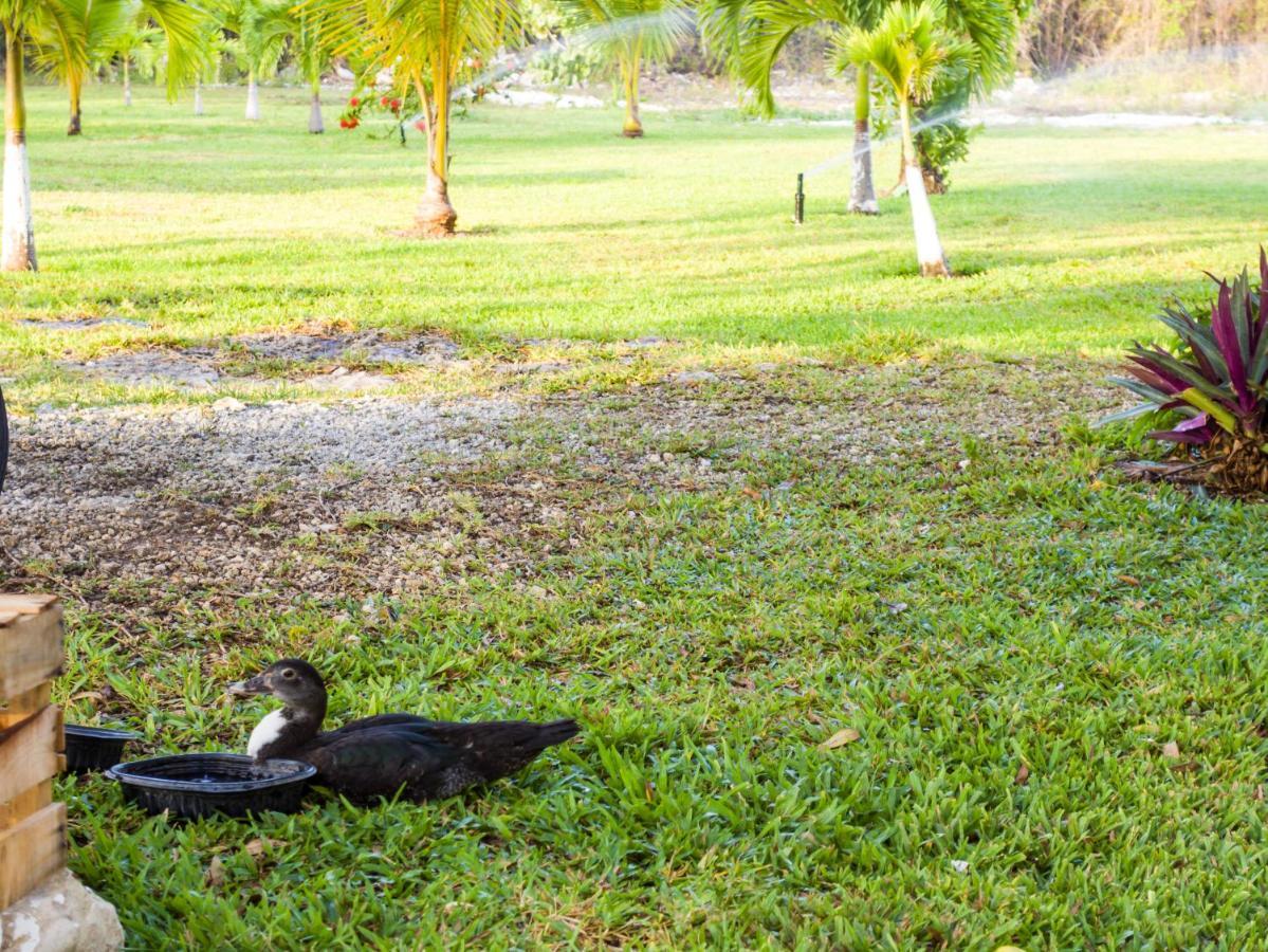 Aldea Isla Sagrada * Cozumel