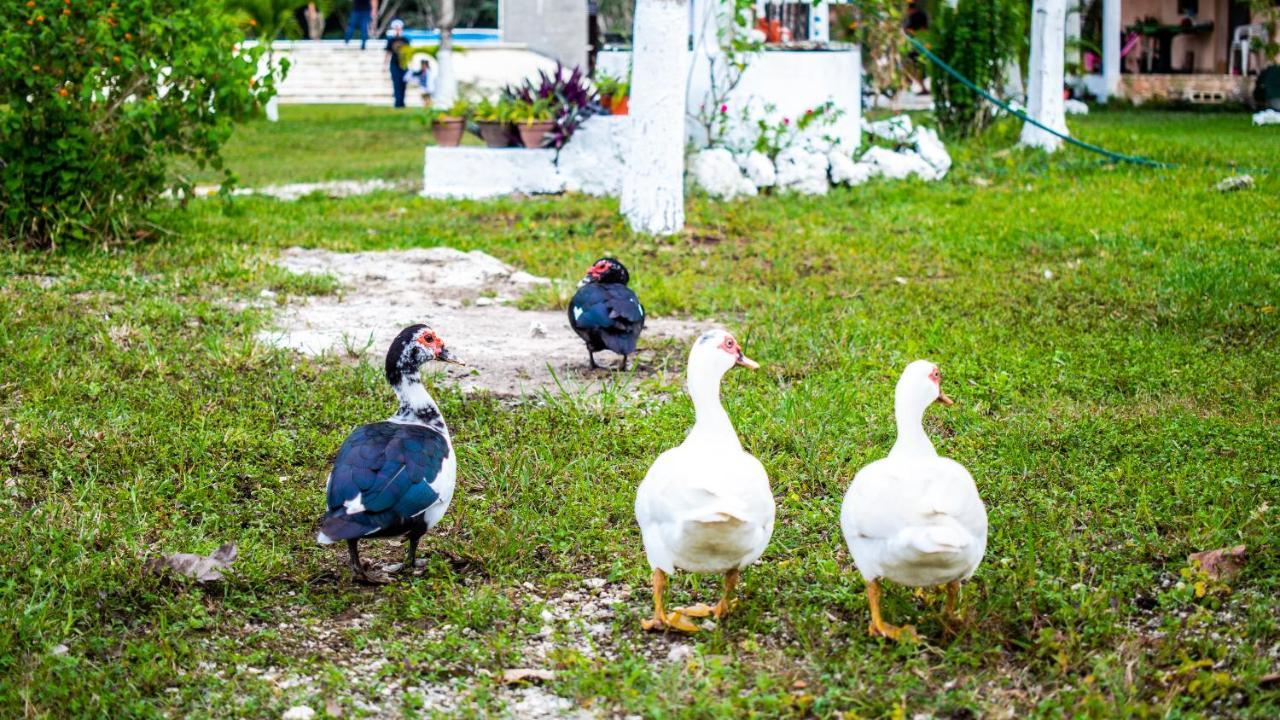 Aldea Isla Sagrada Lodge *